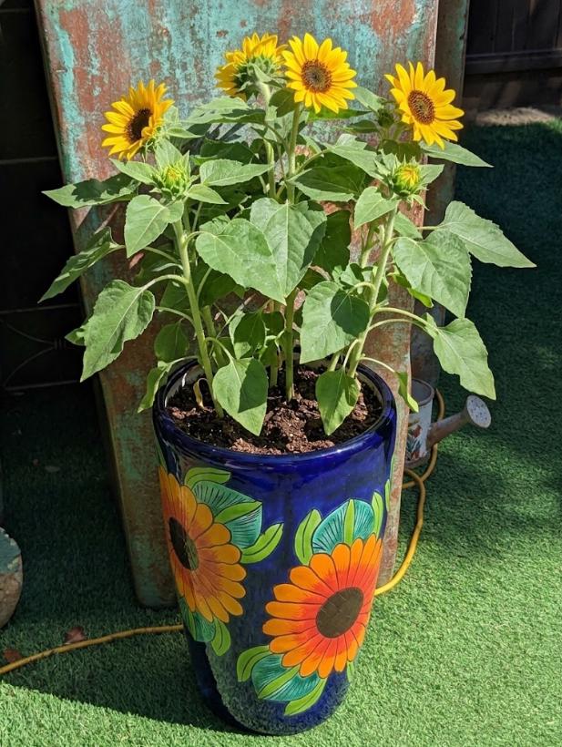 Sunflower Planter | 16.5" Tall Hand-Painted Talavera Flower Pot | Mexican Ceramic Pottery