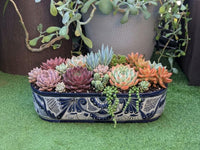 Talavera Oval Succulent Pot | Mexican Ceramic Planter | Hand Painted Window Box