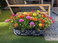Talavera Oval Succulent Pot | Mexican Ceramic Planter | Hand Painted Window Box