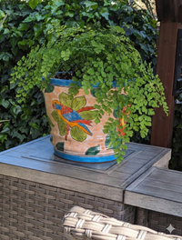 Parrot Flower Pot | 10.5 inch Round Ceramic Planter is Handmade Mexican Pottery for Outdoor Garden Decor, Indoor Home Decor, or Centerpiece from https://luv2brd.com