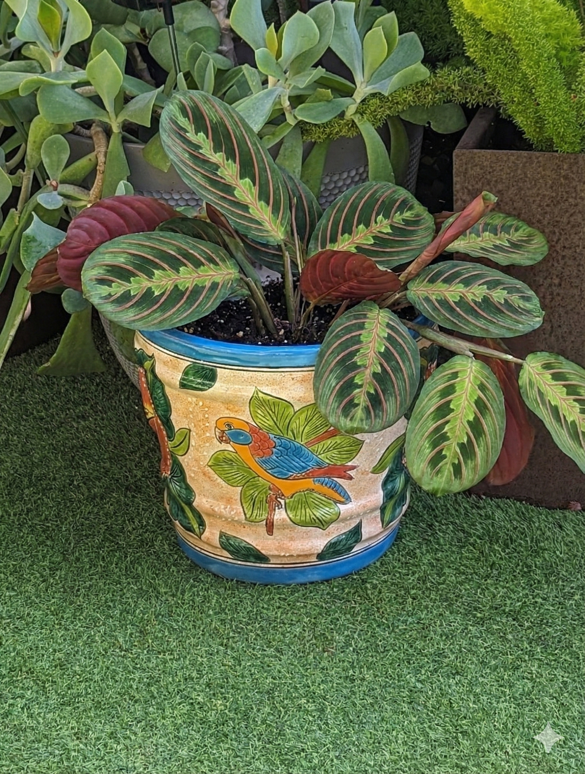 Parrot Flower Pot | 10.5 inch Round Ceramic Planter is Handmade Mexican Pottery for Outdoor Garden Decor, Indoor Home Decor, or Centerpiece from https://luv2brd.com