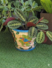 Parrot Flower Pot | 10.5 inch Round Ceramic Planter is Handmade Mexican Pottery for Outdoor Garden Decor, Indoor Home Decor, or Centerpiece from https://luv2brd.com
