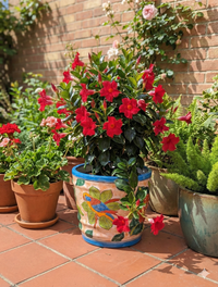 Parrot Flower Pot | 10.5 inch Round Ceramic Planter is Handmade Mexican Pottery for Outdoor Garden Decor, Indoor Home Decor, or Centerpiece from https://luv2brd.com