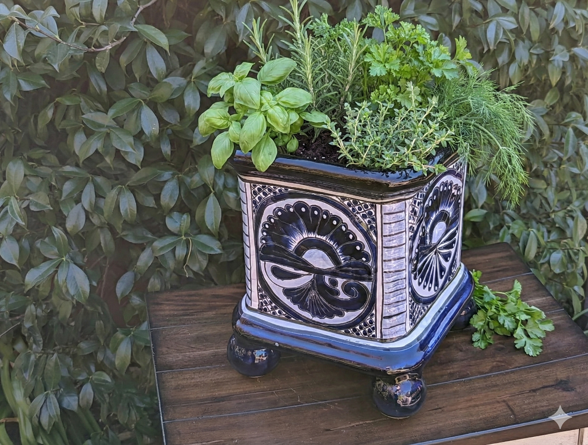 Decorative ceramic planter with herbs on a wooden surface