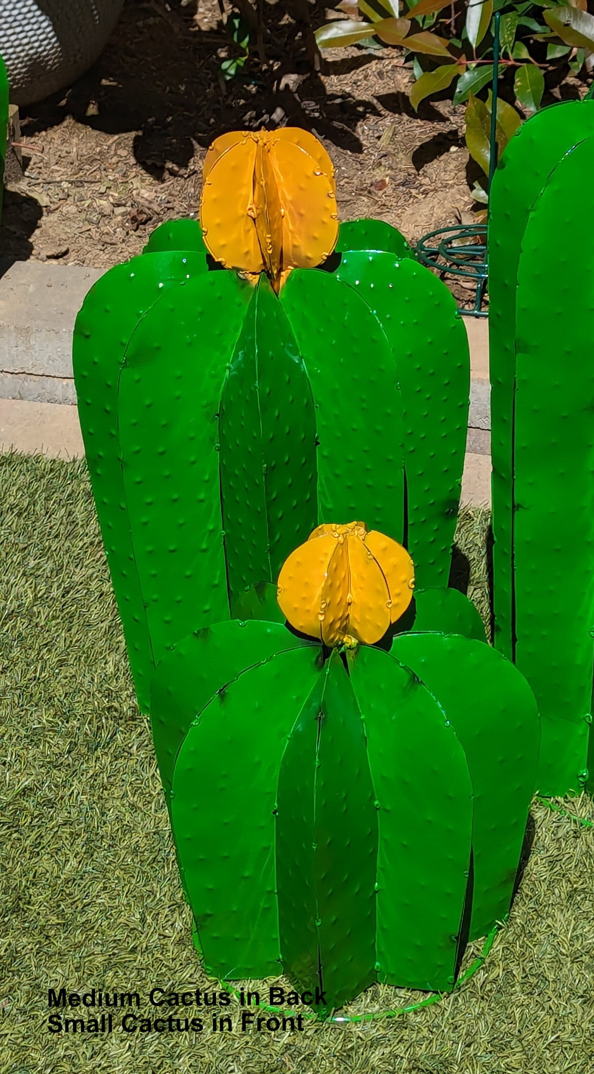 Cactus Garden Decor, Metal Cactus Decoration for Yard or Home, Hand Painted Lifelike Young Saguaro Cactus Yard Art, Mexican Folk Art