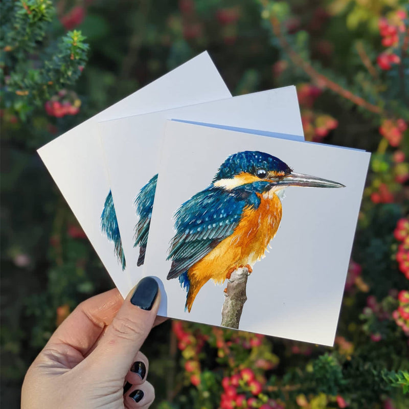 Multipack Kingfisher Mini Greeting Cards, Four 4x4 Inch Cards