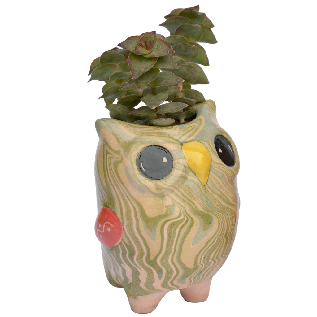 Bird Planter Pot, Swirly Owl, Ceramic Flower Pot, Small Planter Pot, Bird Decor Housewarming Gift for Her