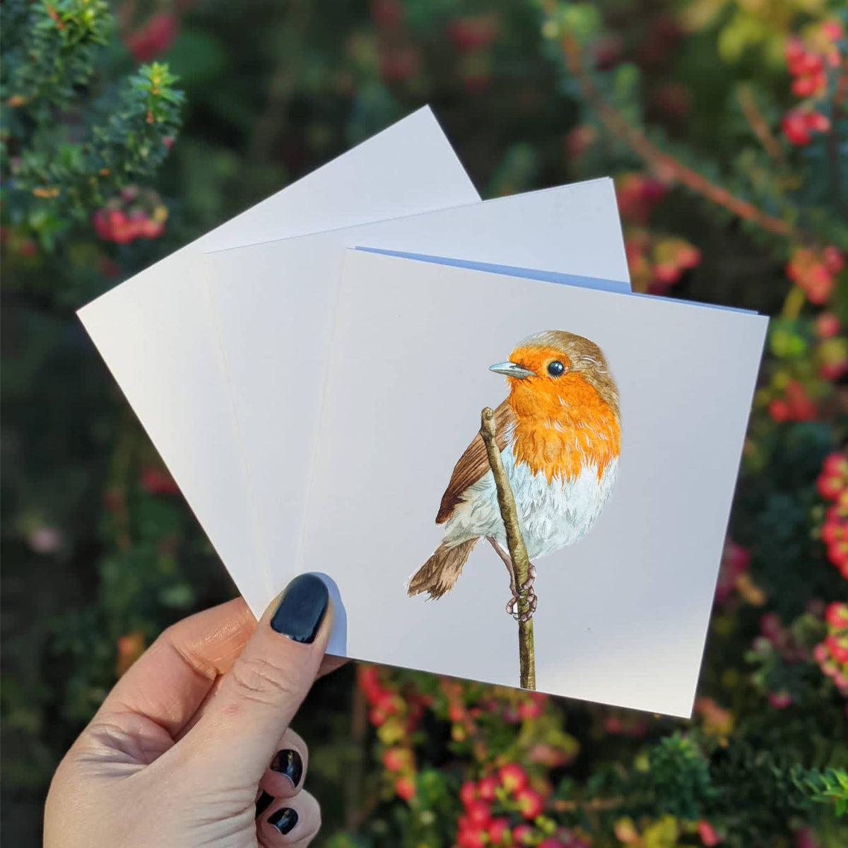 Multipack Robin Mini Greeting Cards, Four 4x4 Inch Cards