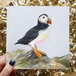 Puffin Greeting Card, Square 6x6 Inches