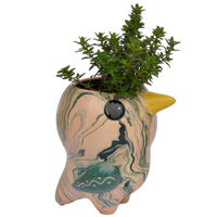 Bird Planter Pot, Swirly Pio Bird, Ceramic Flower Pot, Small Planter Pot, Bird Decor Housewarming Gift for Her