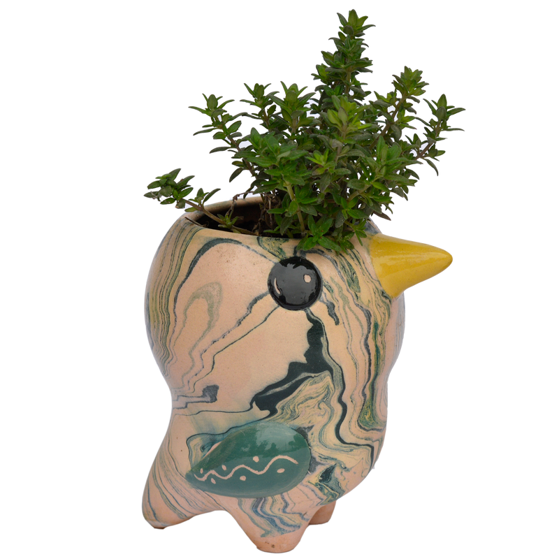 Bird Planter Pot, Swirly Pio Bird, Ceramic Flower Pot, Small Planter Pot, Bird Decor Housewarming Gift for Her