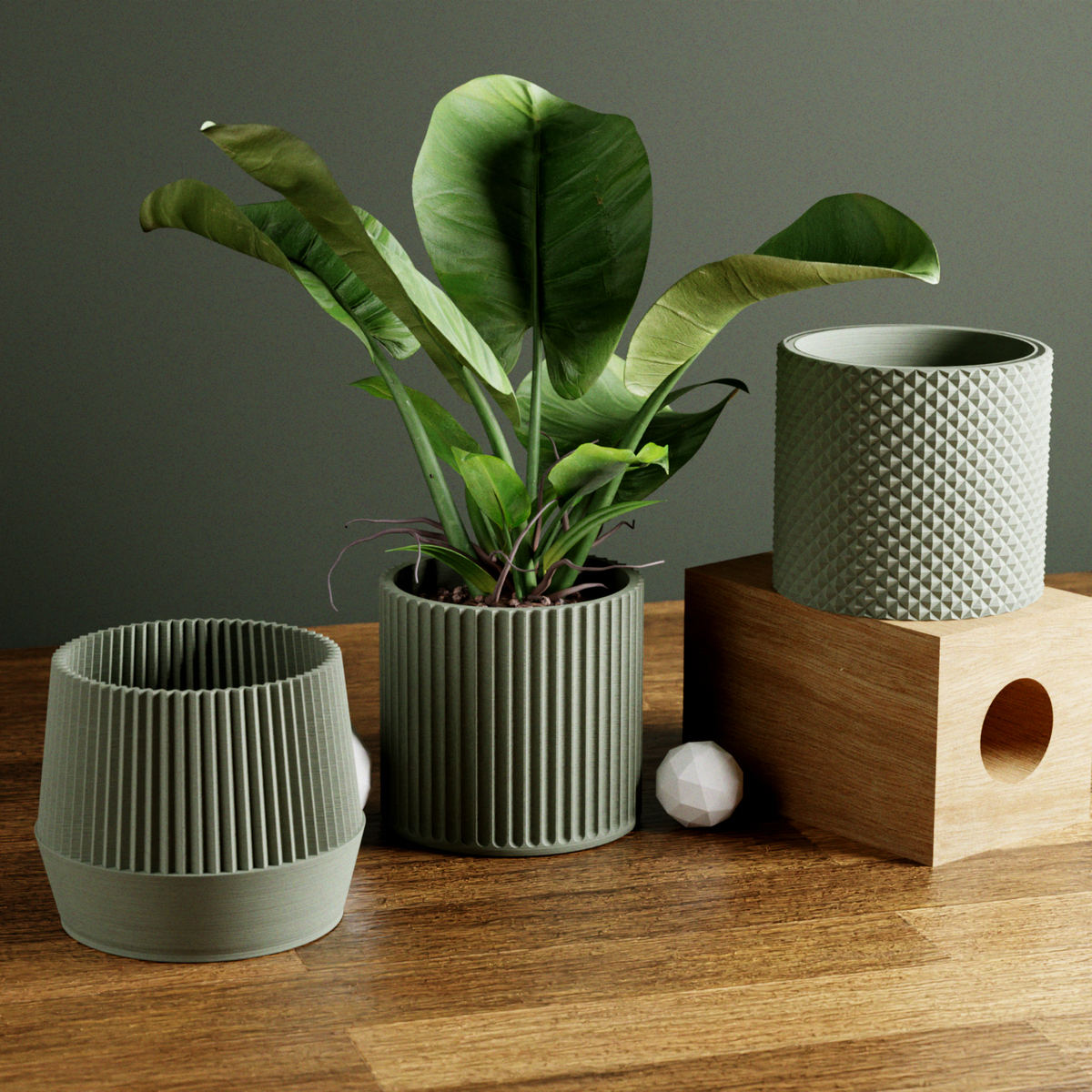 Bamboo Succulent Planter Set With Drip Tray | Unique Flower Pot, Home Decor Housewarming Gift for Her | Muted Green