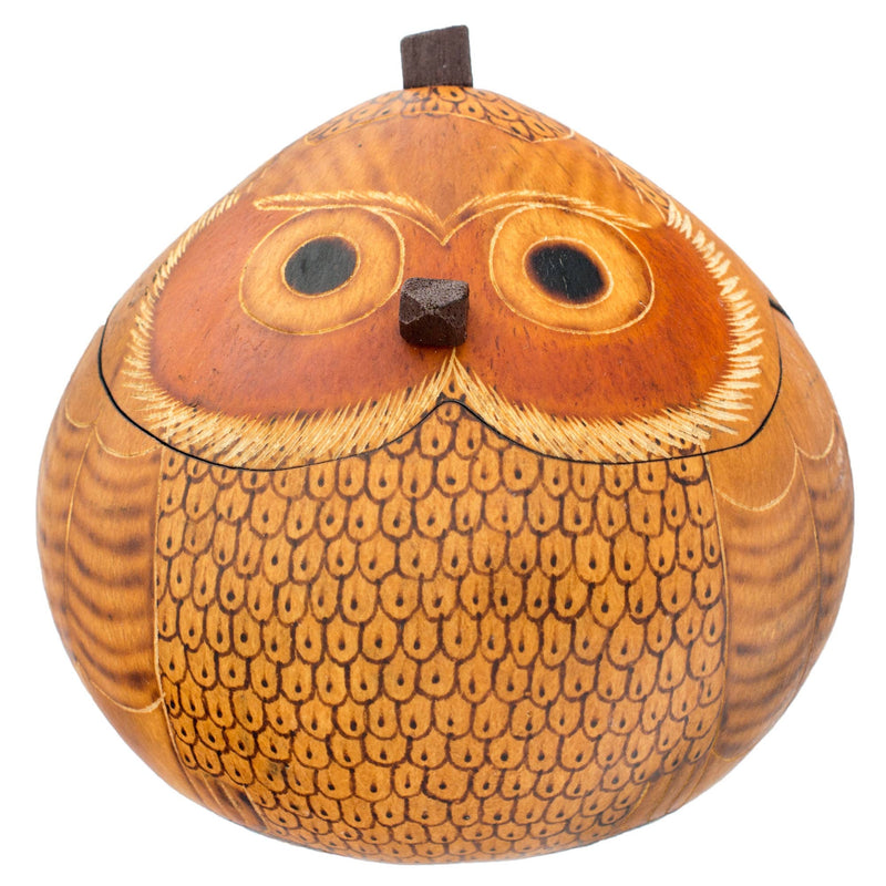 Owl Gourd Box, Spotted Owl Carved  Art, Handmade Owl Art, Owl Gift