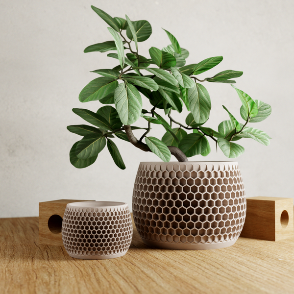 Honeycomb Succulent Planter With Drip Tray, Unique Flower Pot Home Decor, Housewarming Gift for Her, Medium, Muted White Color