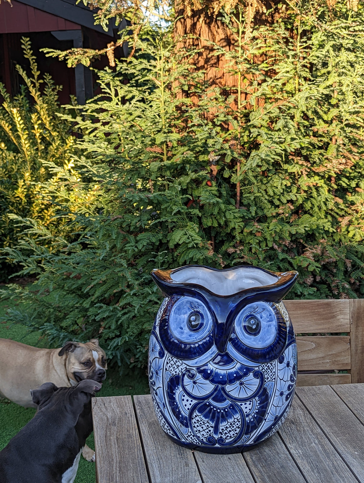 Gorgeous Blue Owl Planter is 14" Ceramic Flower Pot & Handmade Talavera Pottery from Mexico, Big Bold Garden Art and Yard Decor