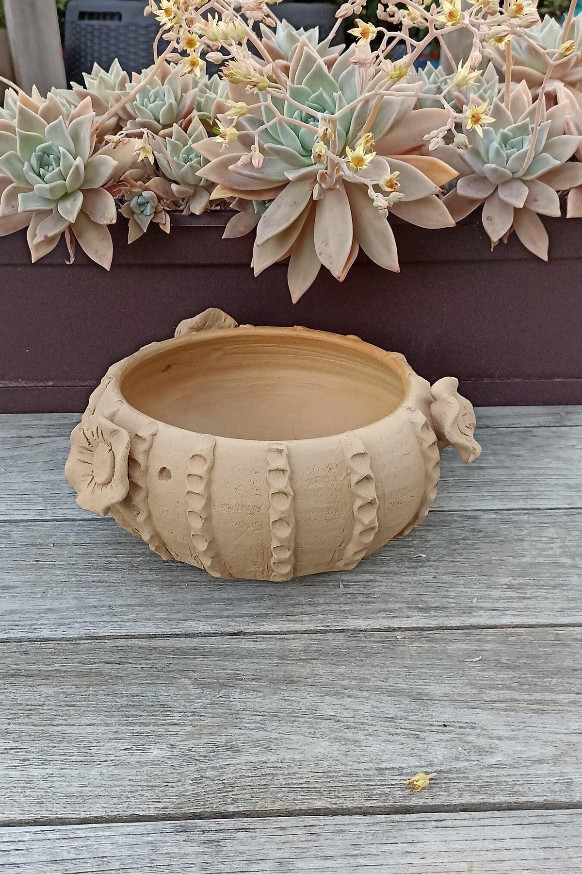 Ceramic Planter, Cactus Flower Pot, Handmade Mexican Pottery from Santa Maria Atzompa, Mexico, Home Decor, Indoor, Outdoor Decor, Plant Pot