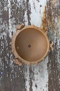 Ceramic Planter, Cactus Flower Pot, Handmade Mexican Pottery from Santa Maria Atzompa, Mexico, Home Decor, Indoor, Outdoor Decor, Plant Pot