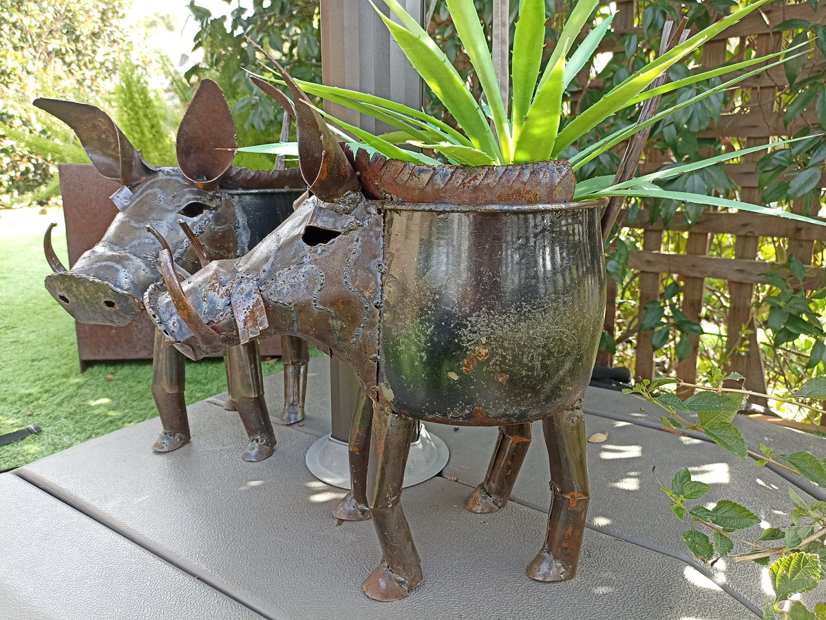 Warthog Planters from Zimbabwe, Made of Recycled African Cooking Pots, Housewarming Gift for Her
