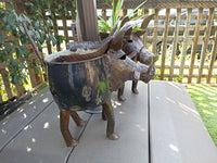 Warthog Planters from Zimbabwe, Made of Recycled African Cooking Pots, Housewarming Gift for Her