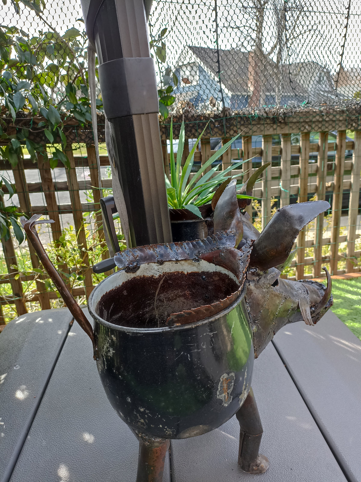 Warthog Planters from Zimbabwe, Made of Recycled African Cooking Pots, Housewarming Gift for Her