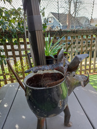 Warthog Planters from Zimbabwe, Made of Recycled African Cooking Pots, Housewarming Gift for Her