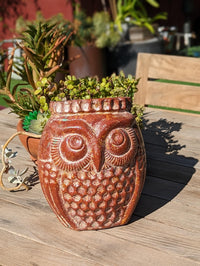Mexican Owl Planter Pot for Indoor Home Decor or Outdoor Garden Decorations, Medium Owl, Reddish Brown