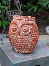 Mexican Owl Planter Pot for Indoor Home Decor or Outdoor Garden Decorations, Medium Owl, Reddish Brown