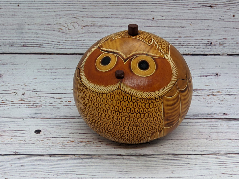 Owl Gourd Box, Spotted Owl Carved  Art, Handmade Owl Art, Owl Gift