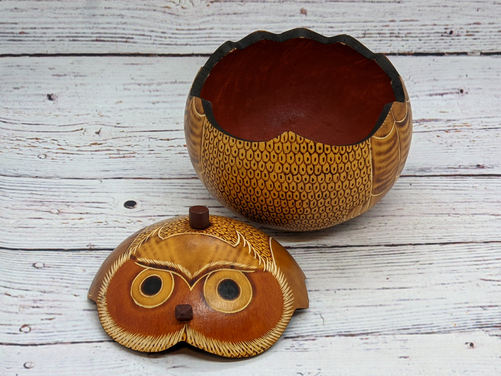 Owl Gourd Box, Spotted Owl Carved  Art, Handmade Owl Art, Owl Gift