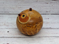 Owl Gourd Box, Spotted Owl Carved  Art, Handmade Owl Art, Owl Gift