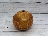 Owl Gourd Box, Spotted Owl Carved  Art, Handmade Owl Art, Owl Gift