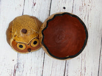 Owl Gourd Box, Spotted Owl Carved  Art, Handmade Owl Art, Owl Gift