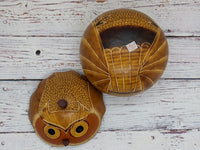 Owl Gourd Box, Spotted Owl Carved  Art, Handmade Owl Art, Owl Gift