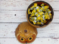 Owl Gourd Box, Spotted Owl Carved  Art, Handmade Owl Art, Owl Gift