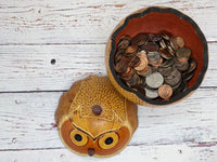 Owl Gourd Box, Spotted Owl Carved  Art, Handmade Owl Art, Owl Gift