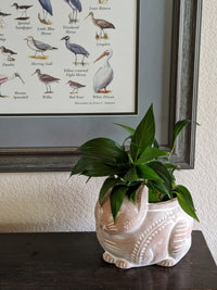 Crouching Cat Planter, Handmade Terracotta Flower Pot Garden Art and Home Decor