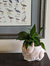 Crouching Cat Planter, Handmade Terracotta Flower Pot Garden Art and Home Decor