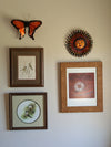 Copper Butterfly Wall Art, Butterfly Garden Art