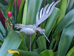 Hummingbird Yard Art with Garden Stake, Garden Decor, Housewarming Gift for Her