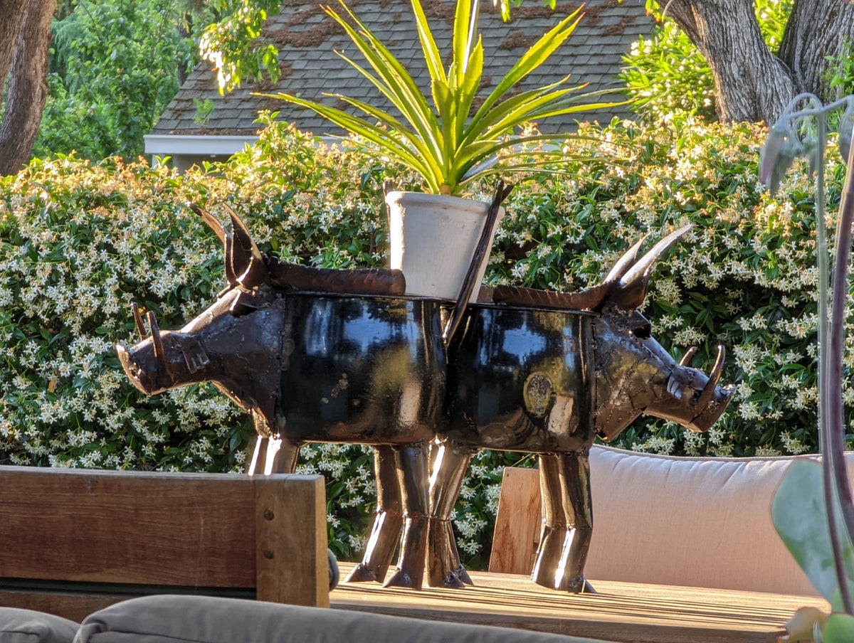 Warthog Planters from Zimbabwe, Made of Recycled African Cooking Pots, Housewarming Gift for Her