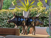 Warthog Planters from Zimbabwe, Made of Recycled African Cooking Pots, Housewarming Gift for Her