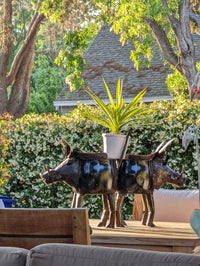 Warthog Planters from Zimbabwe, Made of Recycled African Cooking Pots, Housewarming Gift for Her