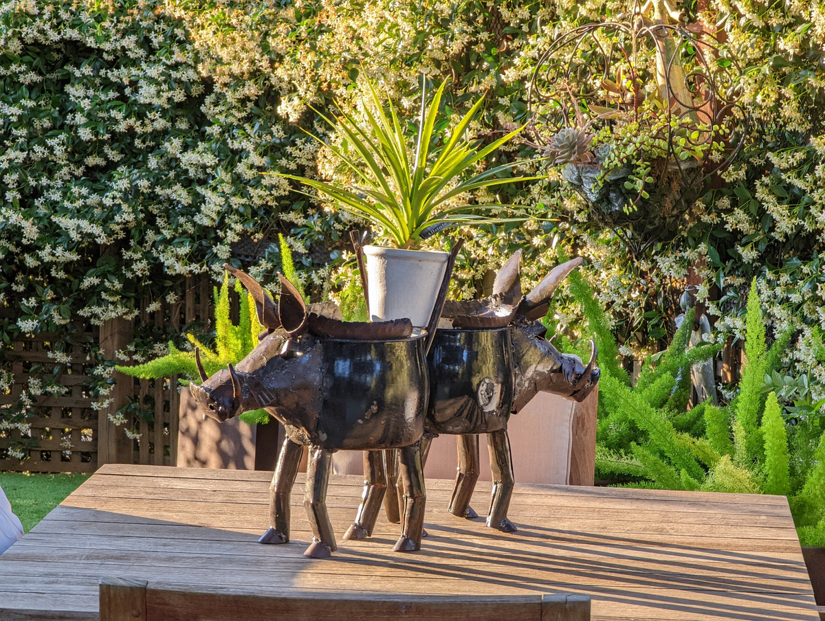 Warthog Planters from Zimbabwe, Made of Recycled African Cooking Pots, Housewarming Gift for Her