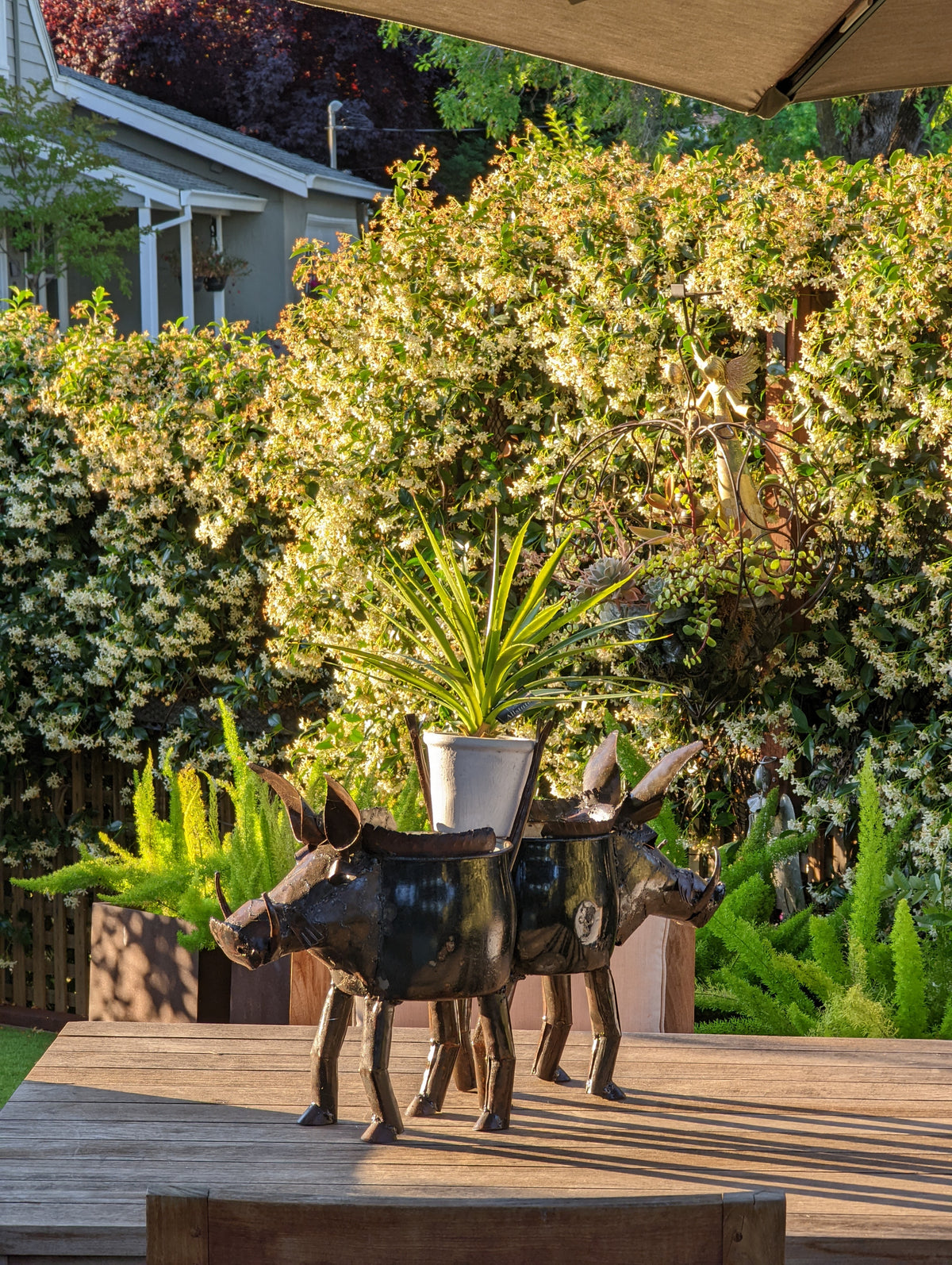 Warthog Planters from Zimbabwe, Made of Recycled African Cooking Pots, Housewarming Gift for Her