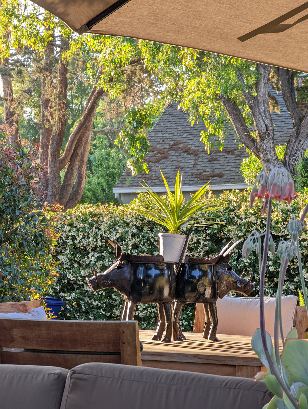 Warthog Planters from Zimbabwe, Made of Recycled African Cooking Pots, Housewarming Gift for Her