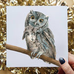 Little Owl Greeting Card, 6x6 Inch Square