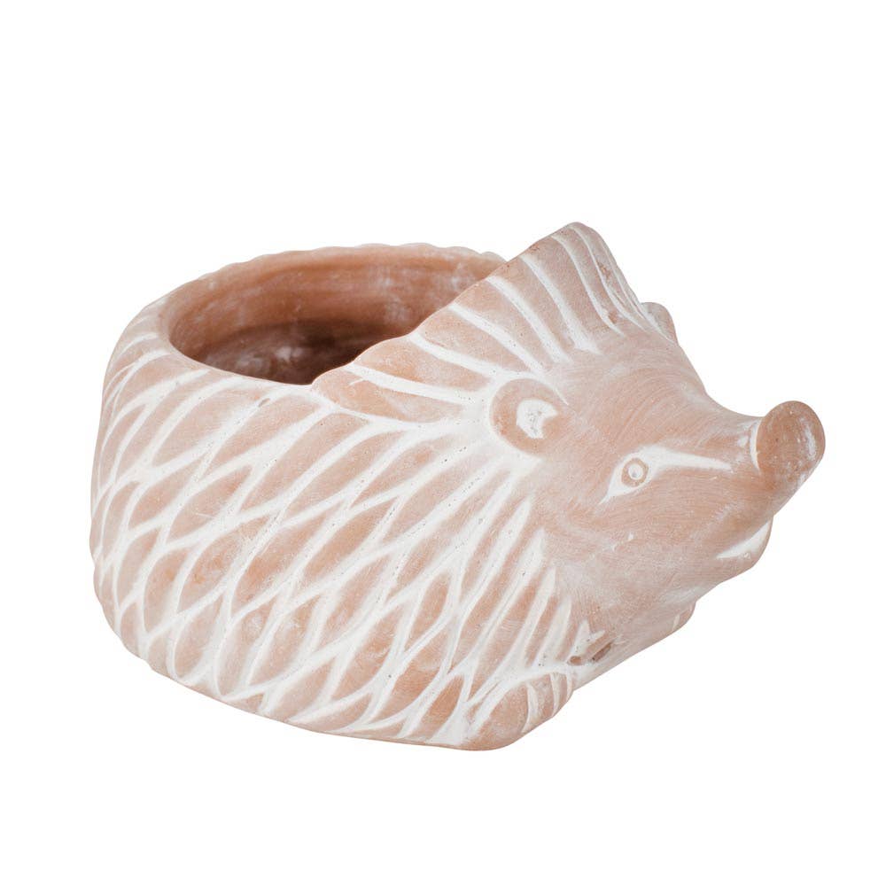 Hedgehog Planter Pot, Handcrafted Hedgehog Art, Indoor Outdoor Planter, Hedgehog Planter, Whitewashed Terracotta