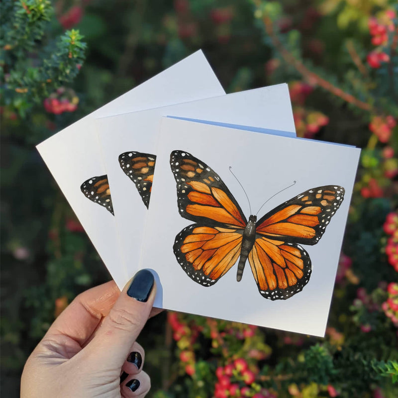 Multipack Butterfly Mini Greeting Cards, Four 4x4 Inch Cards