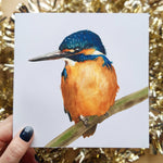 Kingfisher Greeting Card, 6x6 Inches Square