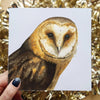 Barnowl Greeting Card, 6x6 Inches Square